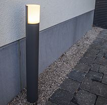 W 1981-650